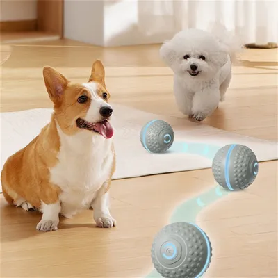 IntiMeg Jouet intelligent pour chien