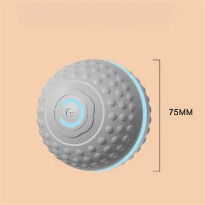 IntiMeg Jouet intelligent pour chien