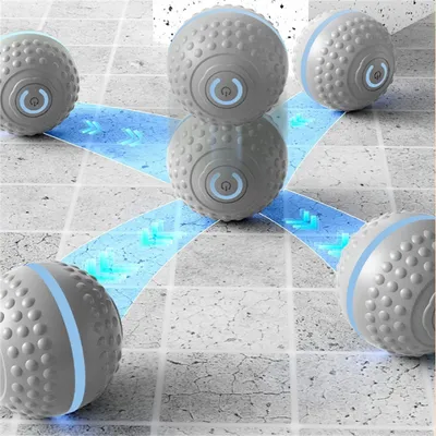 IntiMeg Jouet intelligent pour chien