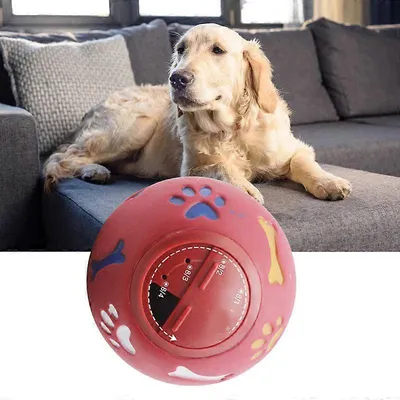 UAMLY Balle distributrice de friandises pour chien