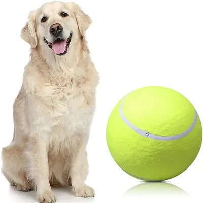 IntiMeg Balle de tennis gonflable pour chien