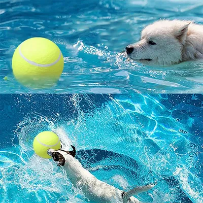 IntiMeg Balle de tennis gonflable pour chien