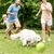 IntiMeg Balle de tennis gonflable pour chien