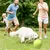 IntiMeg Balle de tennis gonflable pour chien