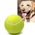 IntiMeg Balle de tennis gonflable pour chien