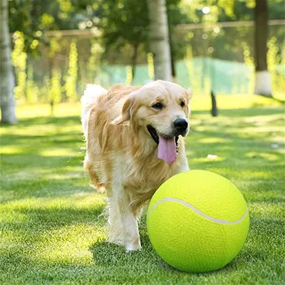 IntiMeg Balle de tennis gonflable pour chien
