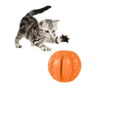 ZenPets Jouet de nettoyage dentaire pour chien