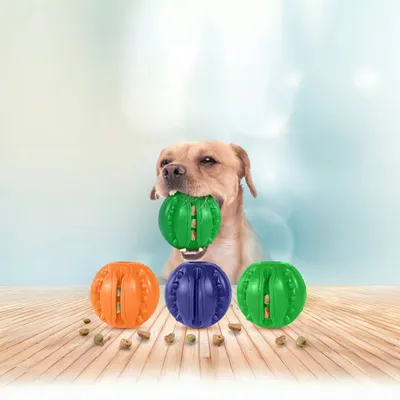ZenPets Jouet de nettoyage dentaire pour chien