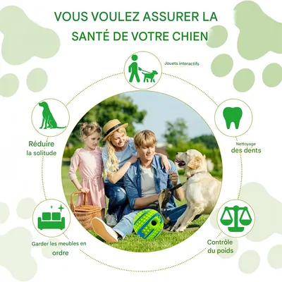 IntiMeg Balle couineuse interactive pour chien