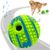 IntiMeg Balle couineuse interactive pour chien