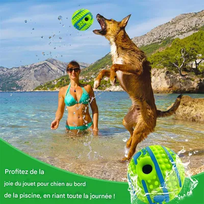 IntiMeg Balle couineuse interactive pour chien