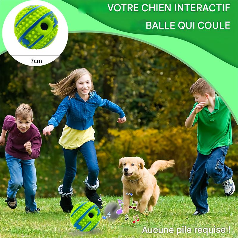 IntiMeg Balle couineuse interactive pour chien
