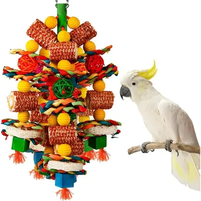 IntiMeg Jouets pour oiseaux,pour perroquets gris africains, aras, cacatoès IntiMeg Jouets pour oiseaux,pour perroquets gris africains, aras, cacatoès