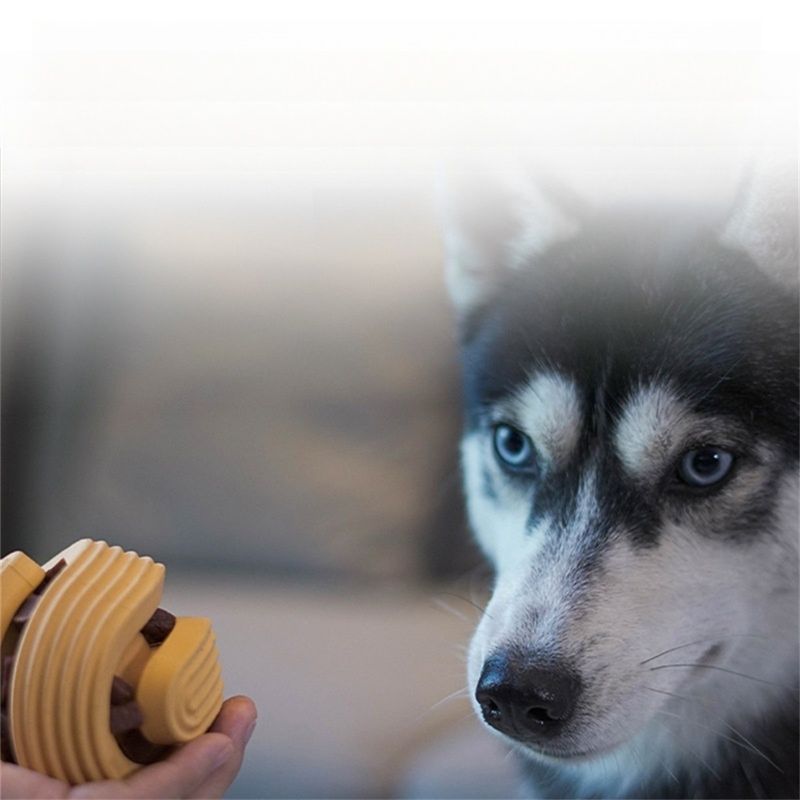 IntiMeg Balle à friandises pour entraînement extérieur de chien