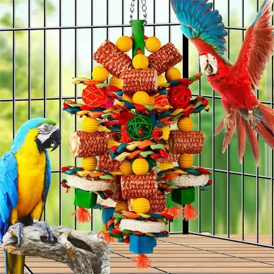 IntiMeg Jouets pour oiseaux,pour perroquets gris africains, aras, cacatoès