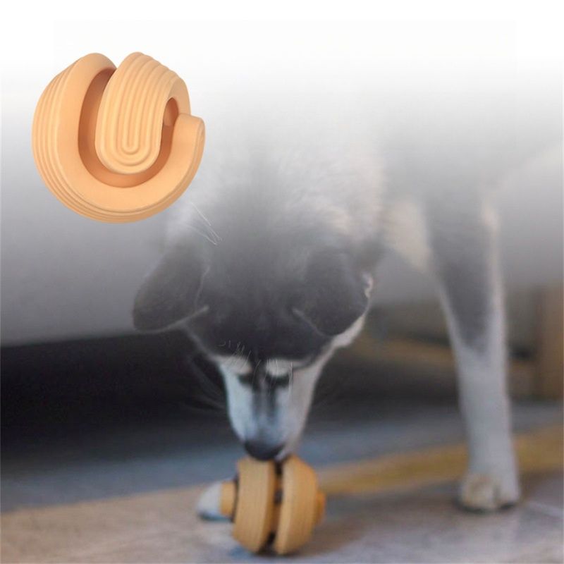 IntiMeg Balle à friandises pour entraînement extérieur de chien