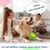 IntiMeg Balle de jeu sonore pour chien