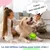 IntiMeg Balle de jeu sonore pour chien