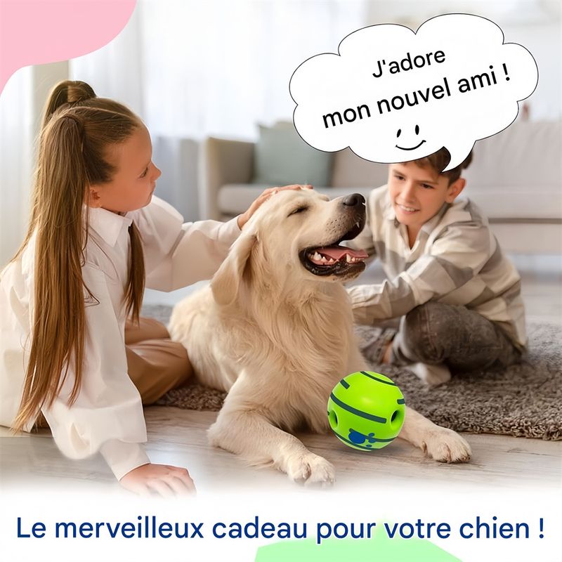 IntiMeg Balle de jeu sonore pour chien