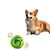 IntiMeg Balle de jeu sonore pour chien