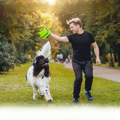 IntiMeg Pelota de juguete para perros con sonido
