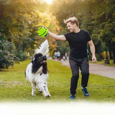 IntiMeg Balle de jeu sonore pour chien