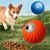 Pet Planet Balle à friandises électronique pour chien et chat
