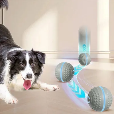 IntiMeg Jouet intelligent pour chien