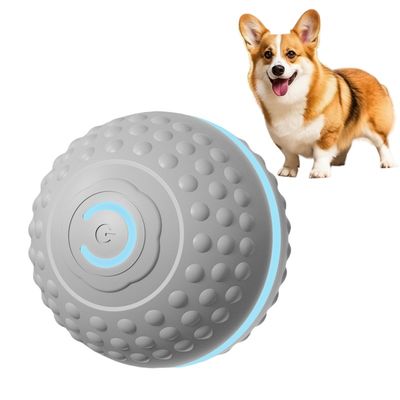 IntiMeg Jouet intelligent pour chien
