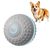IntiMeg Jouet intelligent pour chien
