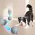IntiMeg Jouet intelligent pour chien