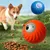 Pet Planet Balle à friandises électronique pour chien et chat