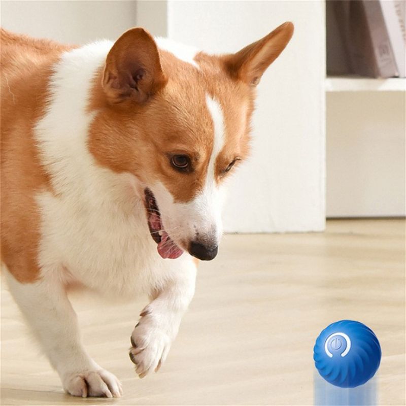 Pet Planet Balle à friandises électronique pour chien et chat