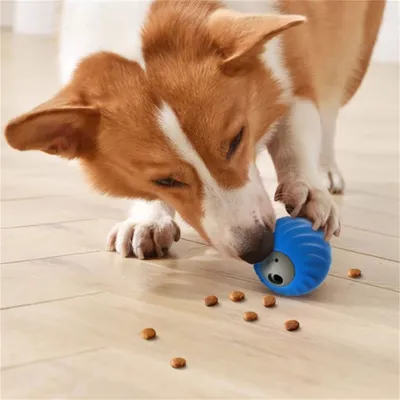 Pet Planet Balle à friandises électronique pour chien et chat