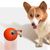 Pet Planet Balle à friandises électronique pour chien et chat