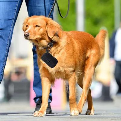 UAMLY Dispensador de bolsas para excrementos de perro