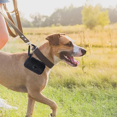 UAMLY Dispensador de bolsas para excrementos de perro