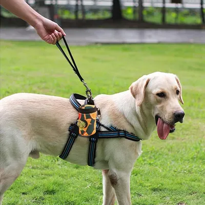 ZenPets Distributeur de sacs à déjections canines
