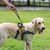 ZenPets Distributeur de sacs à déjections canines
