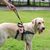 ZenPets Distributeur de sacs à déjections canines