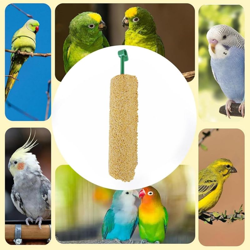 ZooVenture Traité En Bâtonnets Pour Perruches Ondulées 2 Pièces