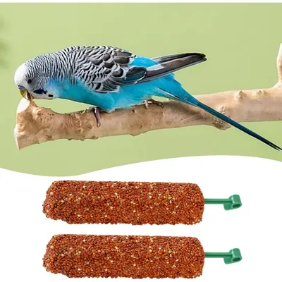 ZooVenture Traité En Bâtonnets Pour Perruches Ondulées 2 Pièces