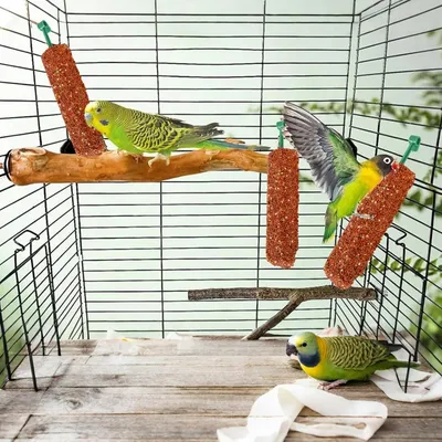 ZooVenture Palos tratados para periquitos, 2 unidades