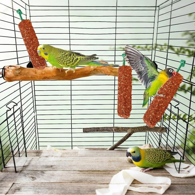 ZooVenture Traité En Bâtonnets Pour Perruches Ondulées 2 Pièces