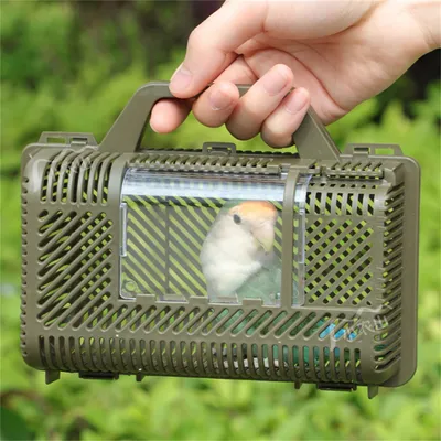 IntiMeg Cage de transport pour perroquet