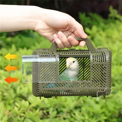 IntiMeg Cage de transport pour perroquet