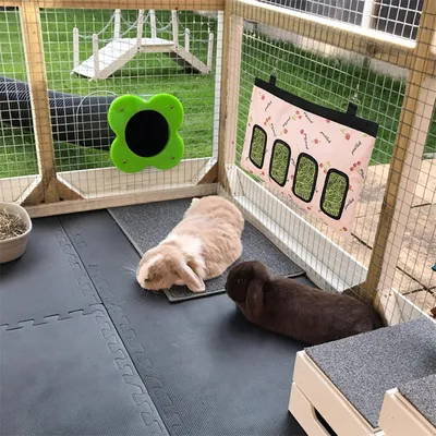 ZenPets Sac à foin pour lapin et cochon d'Inde