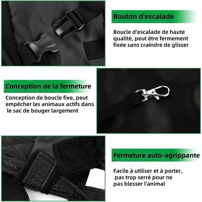 ZenPets Compact Noir Sac À Dos De Transport Pour Chats Et Chiens