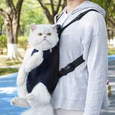 ZenPets Compact Noir Sac À Dos De Transport Pour Chats Et Chiens