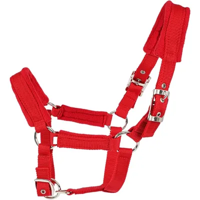 ZooVenture Licol Réglable Pour Chevaux